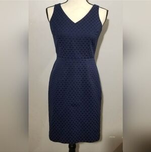 Tommy Hilfiger 6 navy blue dress NWT